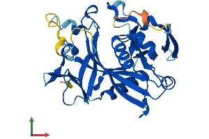 AlphaFold protein structure predicition of Mouse Recombinant Nudt17 Protein, UniprotID Q9CWD3