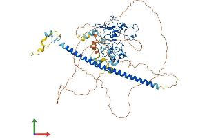 AlphaFold protein structure predicition of Human Recombinant UNKL Protein, UniprotID Q9H9P5
