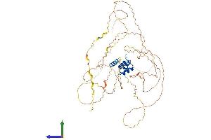 AlphaFold protein structure predicition of Mouse Recombinant Rsc1a1 Protein, UniprotID Q9ER99