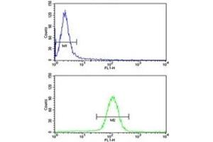 UHRF1 antibody flow cytometry analysis of HeLa cells (green) compared to a negative control (blue).