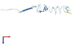 AlphaFold protein structure predicition of Mouse Recombinant Sgcd Protein, UniprotID P82347