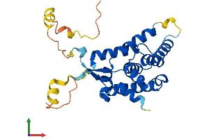 AlphaFold protein structure predicition of Human Recombinant NR0B2 Protein, UniprotID Q15466