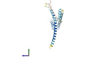AlphaFold protein structure predicition of Mouse Recombinant Ccdc43 Protein, UniprotID Q9CR29