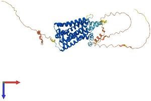 AlphaFold protein structure predicition of Human Recombinant OPN4 Protein, UniprotID Q9UHM6