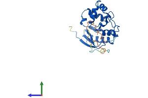 AlphaFold protein structure predicition of Human Recombinant MGMT Protein, UniprotID P16455