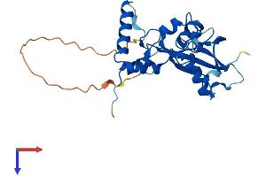 AlphaFold protein structure predicition of Human Recombinant PCGF3 Protein, UniprotID Q3KNV8