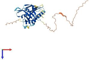 AlphaFold protein structure predicition of Mouse Recombinant Medag Protein, UniprotID Q14BA6