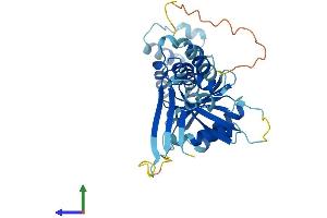 AlphaFold protein structure predicition of Mouse Recombinant Cenpn Protein, UniprotID Q9CZW2