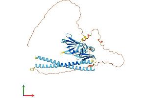 AlphaFold protein structure predicition of Human Recombinant SNAP47 Protein, UniprotID Q5SQN1