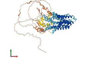 AlphaFold protein structure predicition of Human Recombinant XKR6 Protein, UniprotID Q5GH73