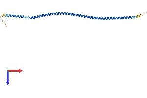 AlphaFold protein structure predicition of Mouse Recombinant Spata24 Protein, UniprotID Q6P926
