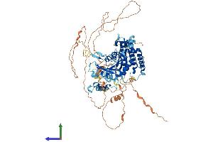 AlphaFold protein structure predicition of Human Recombinant PGBD1 Protein, UniprotID Q96JS3