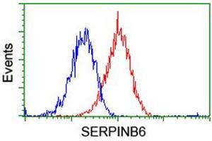 Flow Cytometry (FACS) image for anti-serpin Peptidase Inhibitor, Clade B (Ovalbumin), Member 6 (SERPINB6) antibody (ABIN1500892)