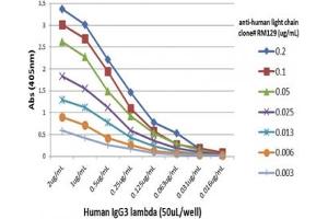 anti-Ig Light Chains antibody