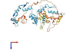AlphaFold protein structure predicition of Human Recombinant ZNF785 Protein, UniprotID A8K8V0