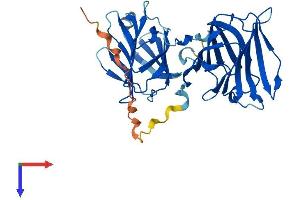 AlphaFold protein structure predicition of Human Recombinant LGALS12 Protein, UniprotID Q96DT0