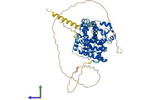 AlphaFold protein structure predicition of Human Recombinant RORC Protein, UniprotID P51449