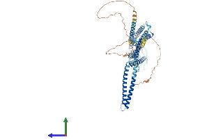 AlphaFold protein structure predicition of Human Recombinant KCNN2 Protein, UniprotID Q9H2S1