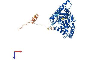 AlphaFold protein structure predicition of Human Recombinant GOLPH3 Protein, UniprotID Q9H4A6