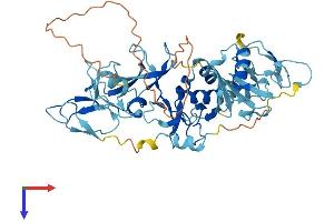 AlphaFold protein structure predicition of Mouse Recombinant Prkn Protein, UniprotID Q9WVS6