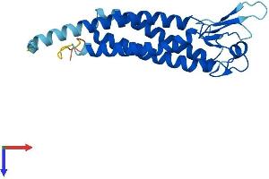 AlphaFold protein structure predicition of Mouse Recombinant Lhfpl5 Protein, UniprotID Q4KL25