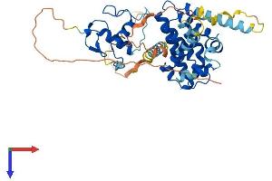 AlphaFold protein structure predicition of Human Recombinant NR2E3 Protein, UniprotID Q9Y5X4