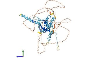AlphaFold protein structure predicition of Human Recombinant ZBTB43 Protein, UniprotID O43298