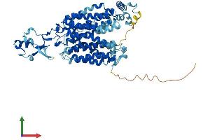 AlphaFold protein structure predicition of Human Recombinant SLC22A5 Protein, UniprotID O76082
