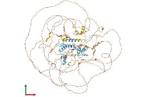 AlphaFold protein structure predicition of Mouse Recombinant Gli1 Protein, UniprotID P47806