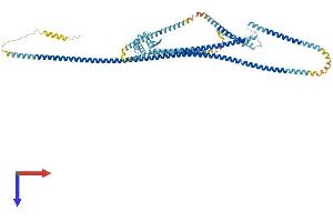 AlphaFold protein structure predicition of Human Recombinant MAD1L1 Protein, UniprotID Q9Y6D9