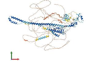 AlphaFold protein structure predicition of Human Recombinant TRIM33 Protein, UniprotID Q9UPN9