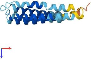 AlphaFold protein structure predicition of Mouse Recombinant Leprotl1 Protein, UniprotID Q9CQ74