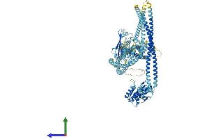 AlphaFold protein structure predicition of Human Recombinant SMC6 Protein, UniprotID Q96SB8