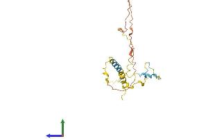 AlphaFold protein structure predicition of Human Recombinant ANXA2R Protein, UniprotID Q3ZCQ2