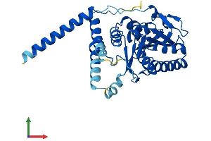 AlphaFold protein structure predicition of Human Recombinant ALG5 Protein, UniprotID Q9Y673