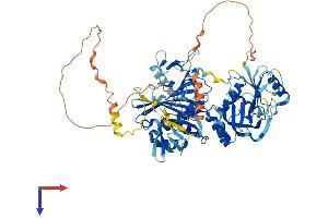 AlphaFold protein structure predicition of Mouse Recombinant Hlcs Protein, UniprotID Q920N2