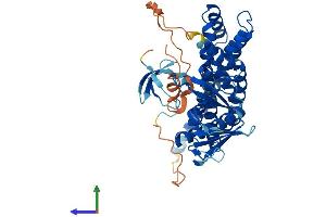 AlphaFold protein structure predicition of Mouse Recombinant Arhgef4 Protein, UniprotID Q7TNR9