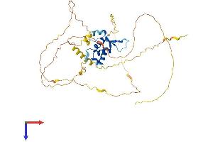 AlphaFold protein structure predicition of Human Recombinant FOXD4L1 Protein, UniprotID Q9NU39