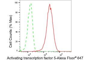 Flow cytometric analysis of Activating transcription factor 5 expression in HeLa cells using Activating transcription factor 5 antibody (ABIN7797484), 1:2,000).