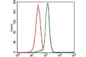 Flow cytometric analysis of HeLa cells using PPM1A mouse mAb (green) and negative control (red).