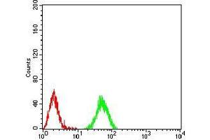 Flow cytometric analysis of *** cells using HIST2H3C(27Ac) mouse mAb (green) and negative control (red). (Histone Cluster 2, H3c (HIST2H3C) (acLys27) anticorps)