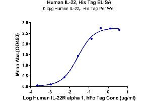 Immobilized Human IL-22, His Tag at 2 μg/mL (100 μL/well) on the plate.