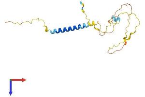 AlphaFold protein structure predicition of Mouse Recombinant Sit1 Protein, UniprotID Q8C503