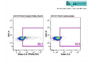 Arctic Ground Squirrel splenocytes stained with Anti-PPAR alpha Polyclonal Antibody, PE-CY5 Conjugated at 1:50.