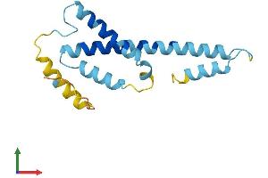 AlphaFold protein structure predicition of Human Recombinant STAG3L4 Protein, UniprotID Q8TBR4