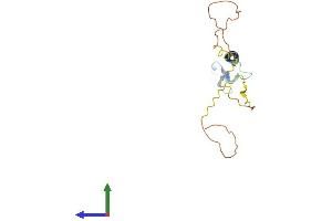 AlphaFold protein structure predicition of Human Recombinant TNFRSF17 Protein, UniprotID Q02223