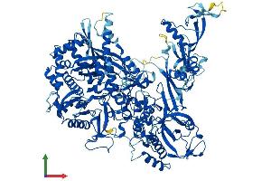 AlphaFold protein structure predicition of Human Recombinant POLR1B Protein, UniprotID Q9H9Y6