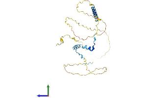 AlphaFold protein structure predicition of Mouse Recombinant Ccdc117 Protein, UniprotID Q6PB51