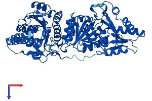 AlphaFold protein structure predicition of Human Recombinant TKTL2 Protein, UniprotID Q9H0I9