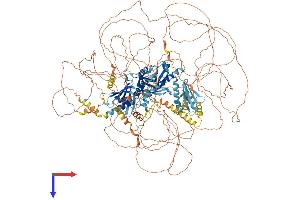 AlphaFold protein structure predicition of Mouse Recombinant Med1 Protein, UniprotID Q925J9